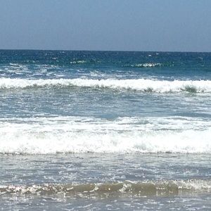 Meet your Posher, Vi